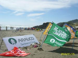 Turistas de Mehuin denuncian a Celulosa Arauco por utilizar a niños en la playa